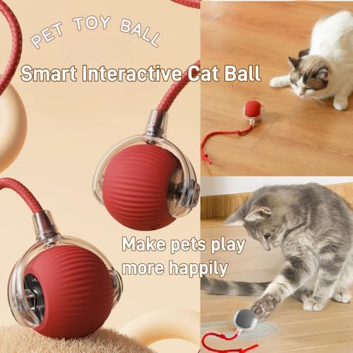 Interactive Cat Toy Ball - Automatic Interactive Cat Toys for Indoor Cat Enrichment