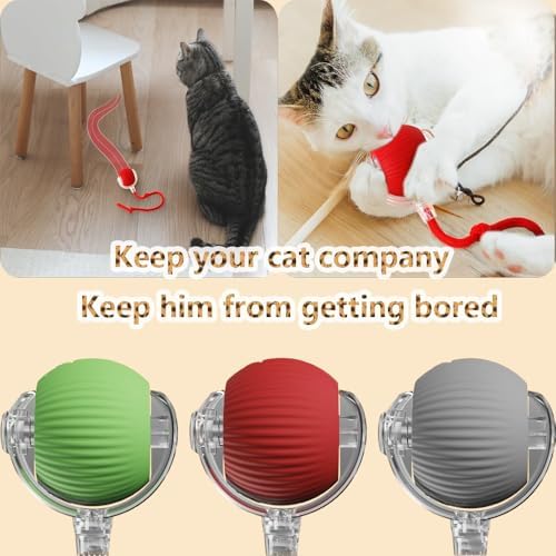 Interactive Cat Toy Ball - Automatic Interactive Cat Toys for Indoor Cat Enrichment