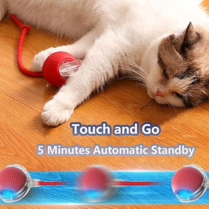 Interactive Cat Toy Ball - Automatic Interactive Cat Toys for Indoor Cat Enrichment