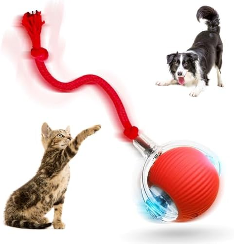 Interactive Cat Toy Ball - Automatic Interactive Cat Toys for Indoor Cat Enrichment