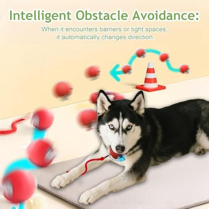 Interactive Cat Toy Ball - Automatic Interactive Cat Toys for Indoor Cat Enrichment