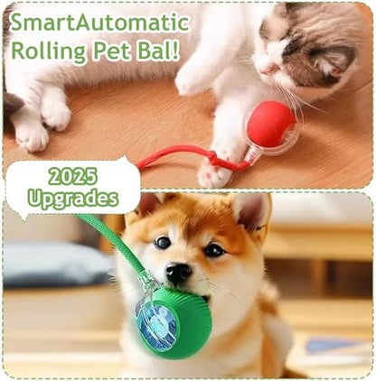 Interactive Cat Toy Ball - Automatic Interactive Cat Toys for Indoor Cat Enrichment