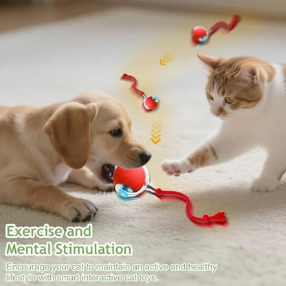 Interactive Cat Toy Ball - Automatic Interactive Cat Toys for Indoor Cat Enrichment