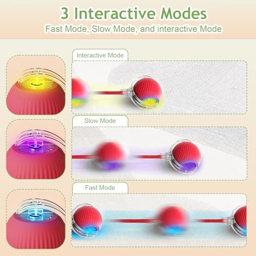 Interactive Cat Toy Ball - Automatic Interactive Cat Toys for Indoor Cat Enrichment