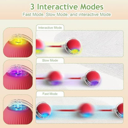 Interactive Cat Toy Ball - Automatic Interactive Cat Toys for Indoor Cat Enrichment