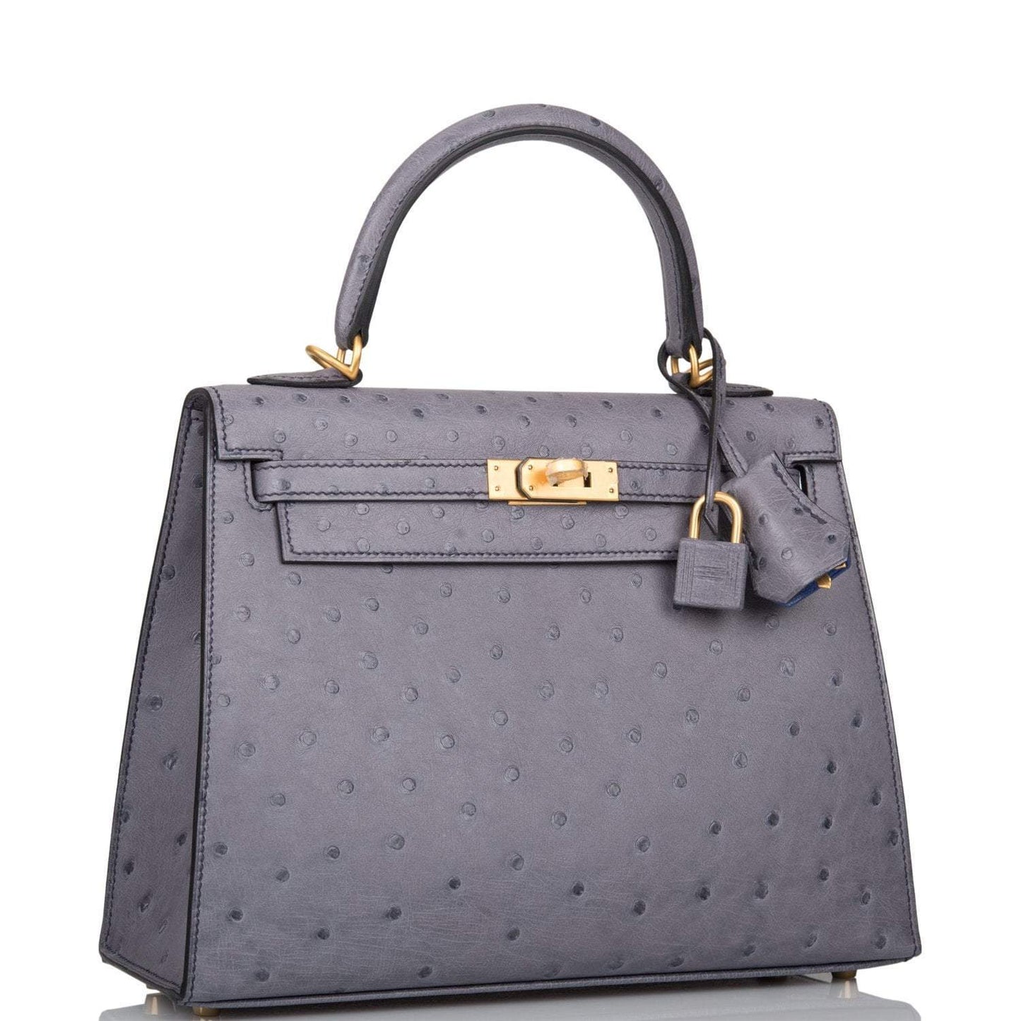 Hermes Horseshoe Stamp (HSS) Bi-Color Gris Agate and Bleu Electric Ostrich Sellier Kelly 25cm Brushed Gold Hardware